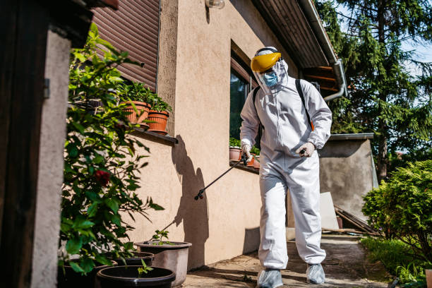 Best Ant Control Services  in Ada, OK