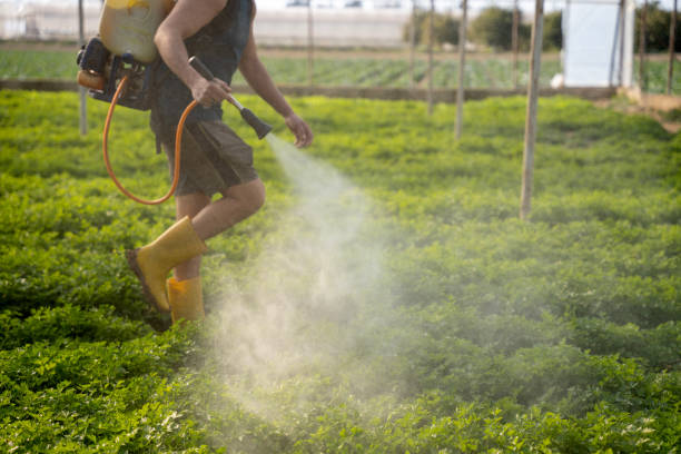 Professional Pest Control in Ada, OK