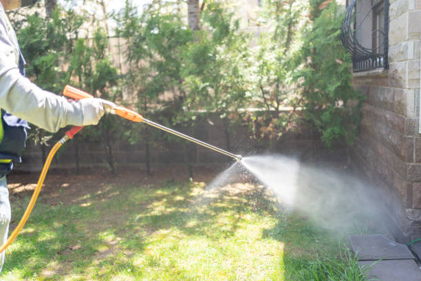 Best Rat Extermination Near Me  in Ada, OK