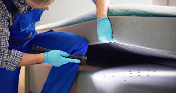 Best Cockroach Control Services  in Ada, OK