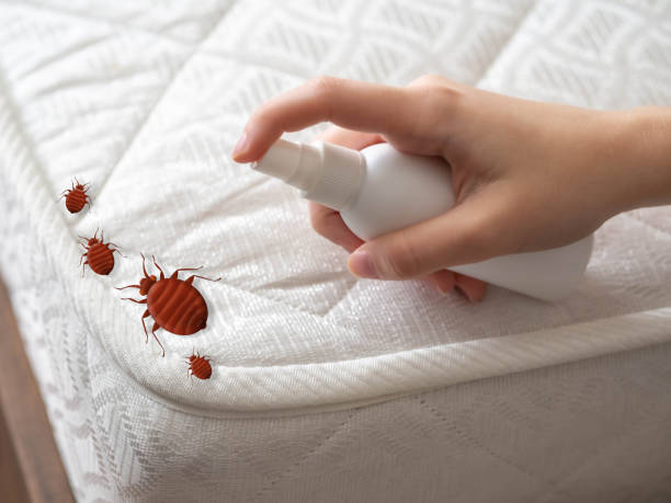 Best Pest Prevention Services  in Ada, OK