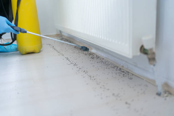 Best Best Pest Control Companies  in Ada, OK