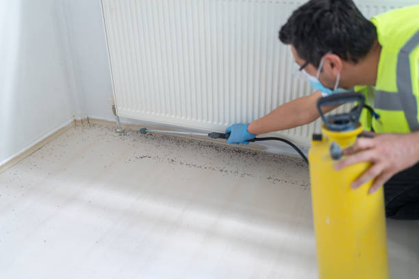 Best Residential Pest Control  in Ada, OK