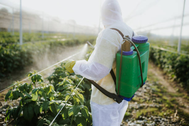 Best Pest Control for Homes  in Ada, OK